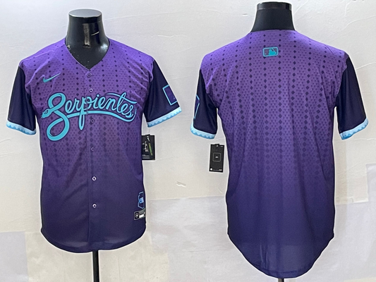 Men's Arizona Diamondbacks Purple 2025 City Connect Player Jersey
