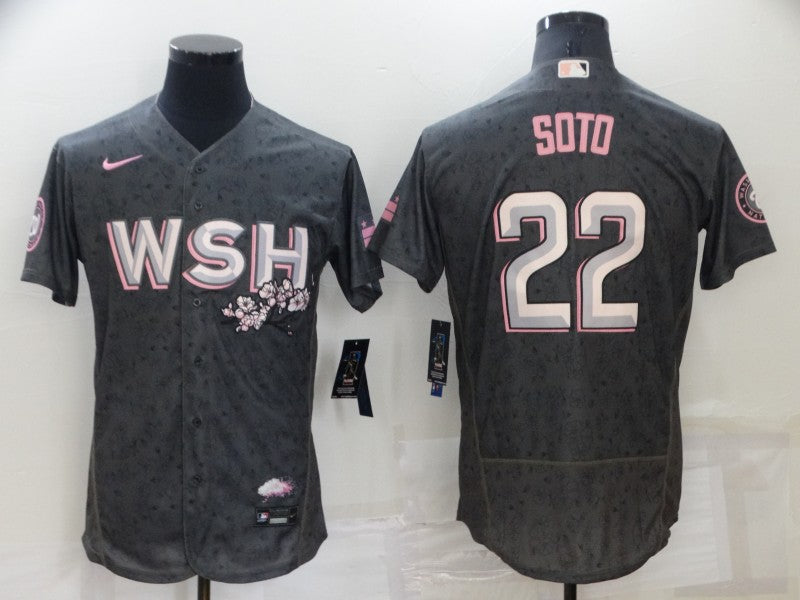 Men's Juan Soto #22 Washington Nationals 2022 City Connect Replica Jersey